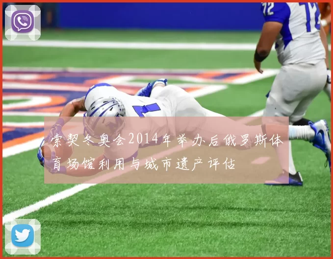 索契冬奥会2014年举办后俄罗斯体育场馆利用与城市遗产评估