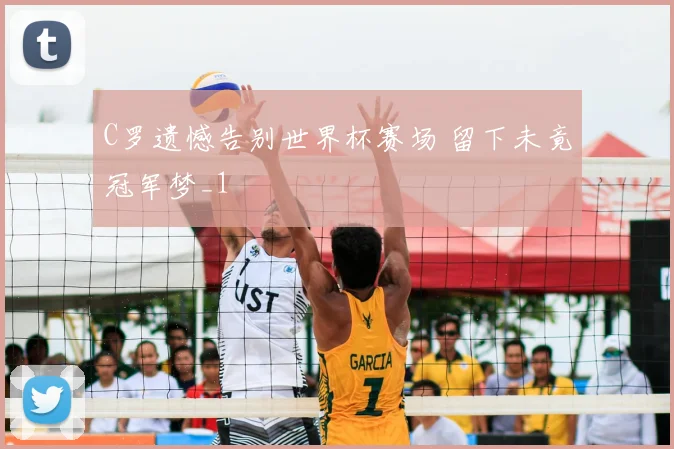C罗遗憾告别世界杯赛场 留下未竟冠军梦_1