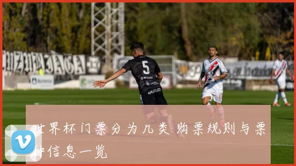世界杯门票分为几类 购票规则与票种信息一览