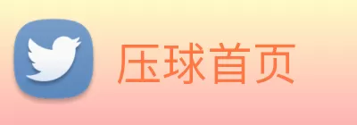 压球首页 logo